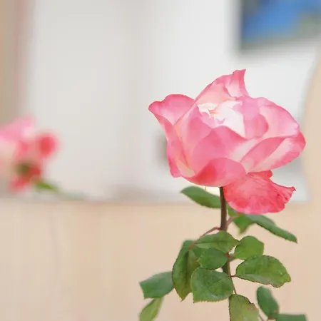 Couette-café Hotel-garni Seestrand Zell am See