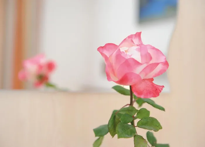 ベッド・アンド・ブレックファスト Hotel-garni Seestrand ツェル アム ゼー